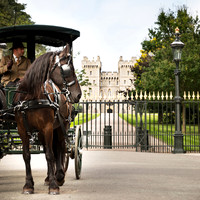 Windsor Carriages and wedding photography on the Long Walk 3