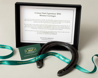 A horse shoe and ribbon for a gift experience on Windsor Carriages