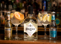 Gin bottle alongside two gin glasses with garnishes and bottles of tonic