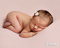 Newborn two-week-old baby lays on her front with a flower tie in her hair