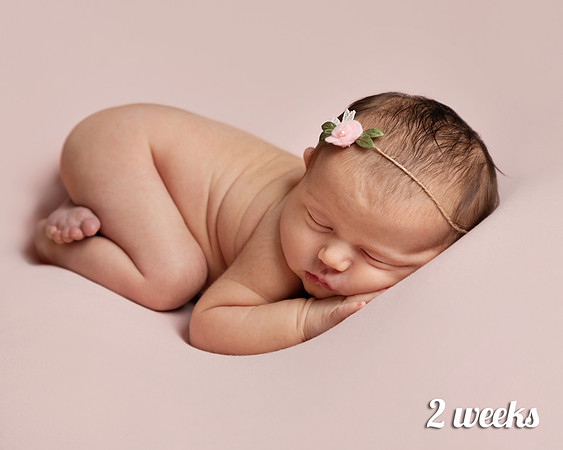 Newborn two-week-old baby lays on her front with a flower tie in her hair