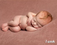 Newborn photoshoot - best age for baby photos