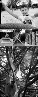 An outdoor photographer's favourite outdoor spaces in Windsor Berkshire