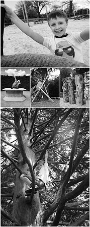 Dinton pastures, Cliveden, Windsor Great Park