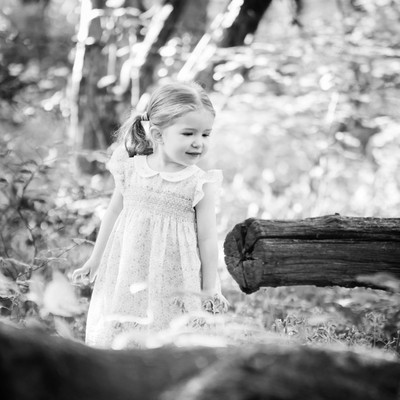Little girl looks at log in a woodland photo