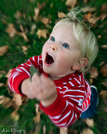 Autumn winter photography natural light photographer Windsor 6