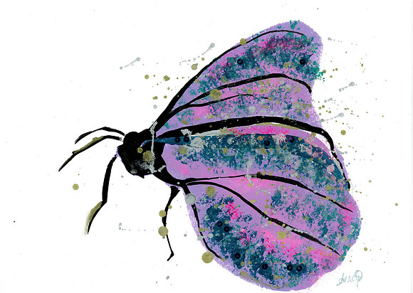 Violet Butterfly