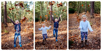 Autumn winter photography natural light photographer Windsor 2