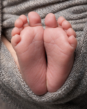Two tiny baby feet wraped in a grey blanket