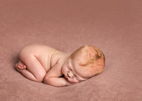 Newborn baby girl lays curled up on her front, filling only a quarter of the image, emphasising how tiny she is