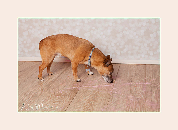 Cake smash photographer Windsor 8