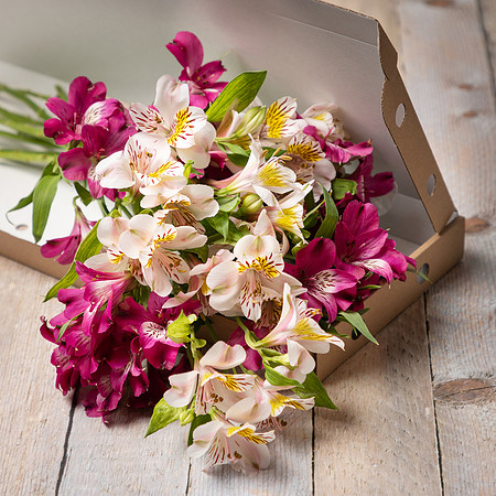 A flower delivery service photographed in their box